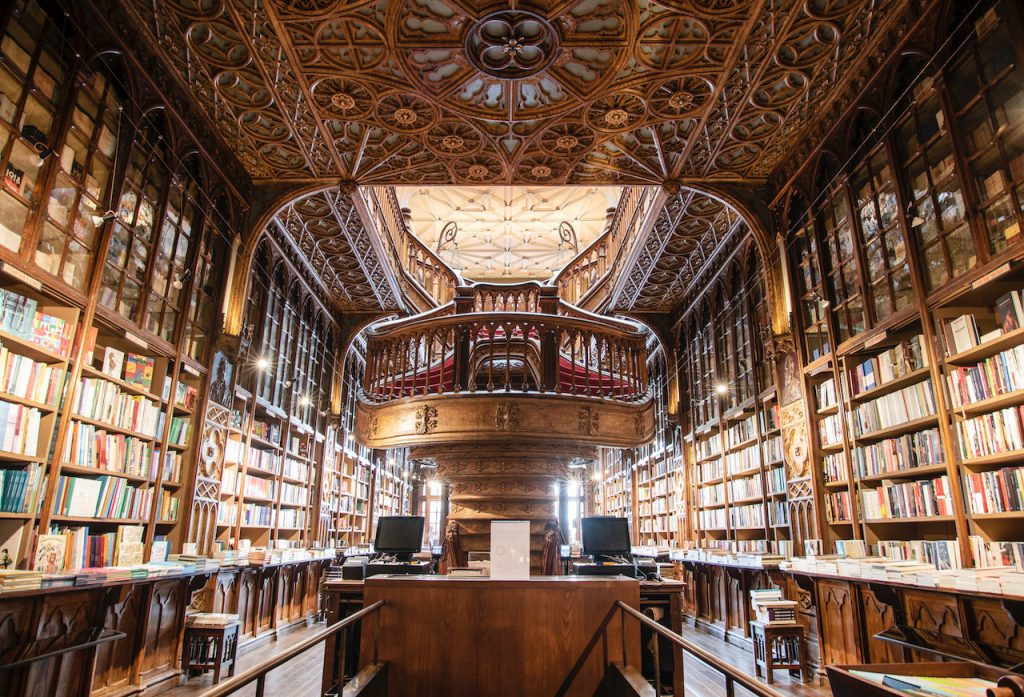 A grand library meant to represent a shadow library